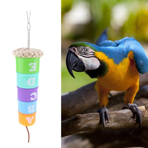 Vogel papagei futtersuche - papagei,