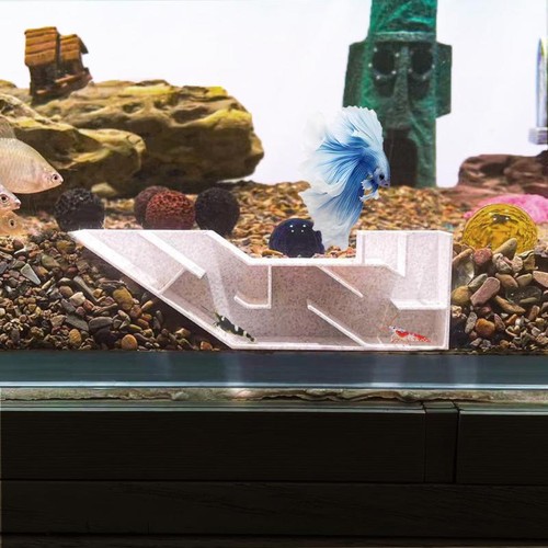 Fisch tunnel für aquarien - fisch,