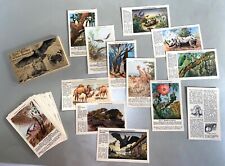 52 Sammelbilder  Tier-Bilder der Berliner Morgenpost 1934