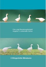 Gänse Set 4 Figuren unbemalt