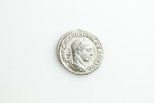 Severus alexander m tr - severus,