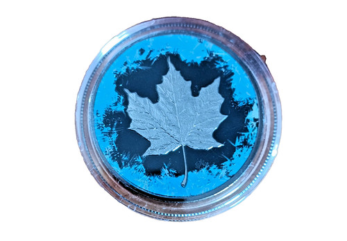 Maple leaf 2017 - 2017, frozen
