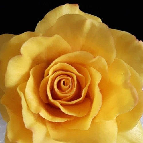Rose zuckerblume aus - aus, fondant