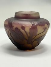 D173# wunderschöne Emile