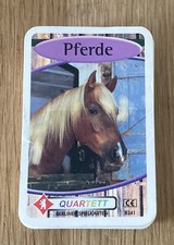 Quartett  Pferde von Giga