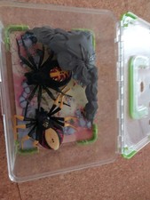 Wild Pets Interaktives Haustier 2x Spinne Vogelspinne Mit Terrarium