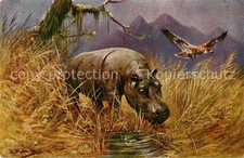 Verlag WS SB Nr. Nr. 6962 Nielpferd 