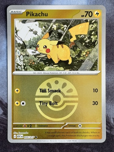 Pikachu 055 217 - pikachu, pokemon