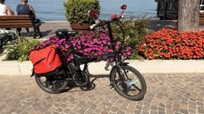 16 Zoll E Bike Pedelec Cityräder Elektrofahrrad 250W 36V  Klapprad
