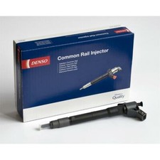 Injektor/Einspritzdüse -