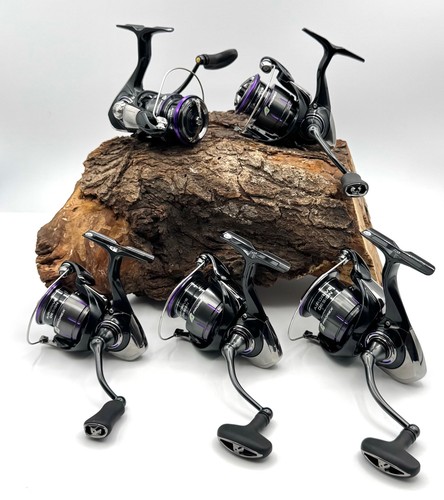 Daiwa prorex lt - daiwa,