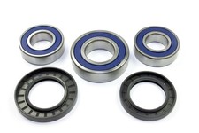 Radlager Satz 25-1749 hinten