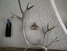 Echtes Rentiergeweih