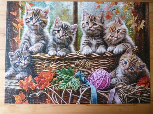 Jumbo puzzle 1000 - jumbo,