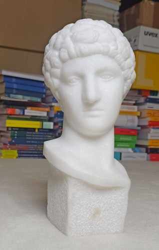 Büste apollon carrara marmor - büste,
