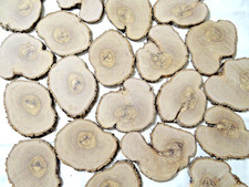 5 Stuck Baumscheibe Olivenholz