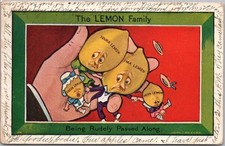 Vintage THE LEMON FAMILY Comic
