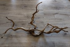 XXL Wurzelholz Geäst oder