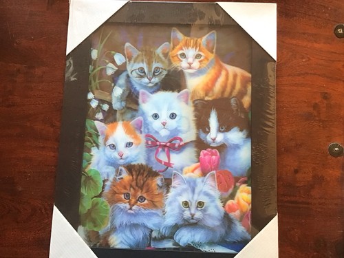 Bild katzenbabys 46 x - 3,