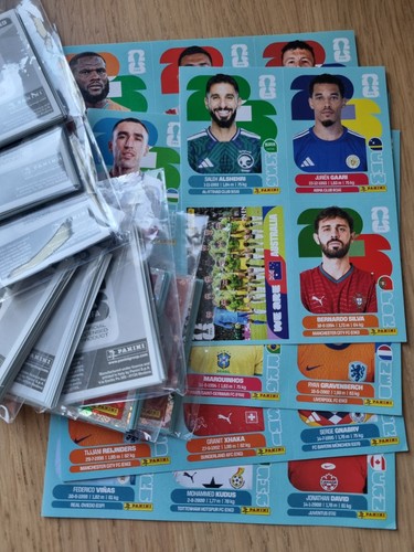 Panini 2026 konvolut - panini, wm