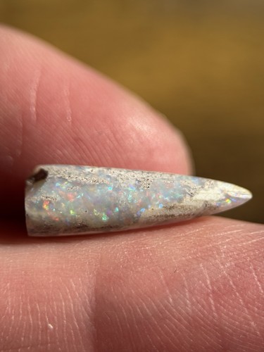 Coober pedy fossiler opal - coober,
