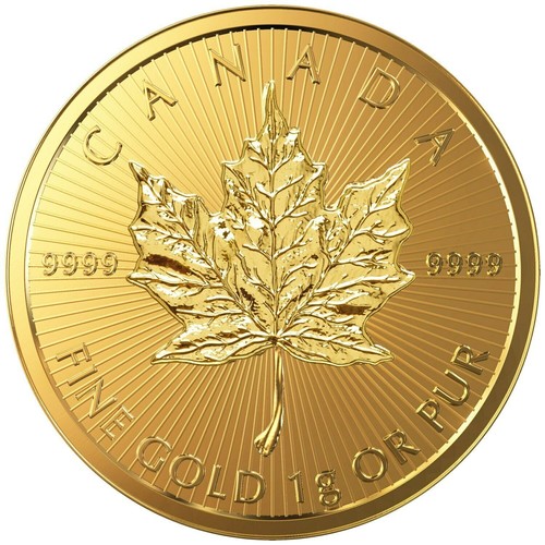 Maple leaf 2023 gramm 50 - -1,