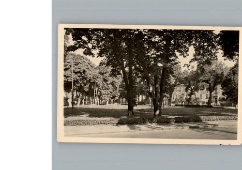 Falkensee - ,