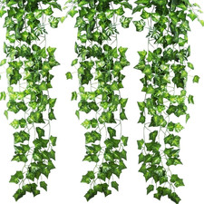 KASZOO 6 Stück Efeu