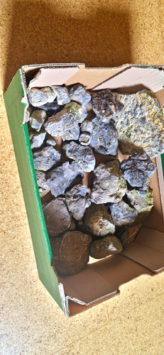 Fossilien sammlung - 7,