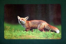 TISCHSET Platzdeckchen