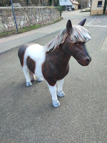 Pony pferd lebensgroß - pony,