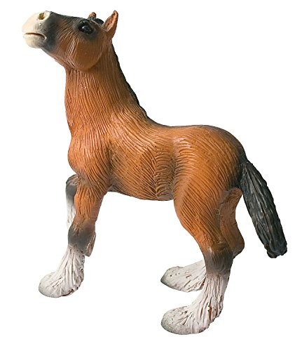 Shire horse fohlen - shire,