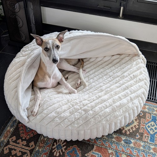 Hundebett bezug mit - bezug, stehendem