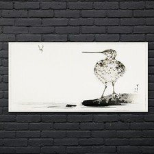 Zeichnung Asiatische Tier