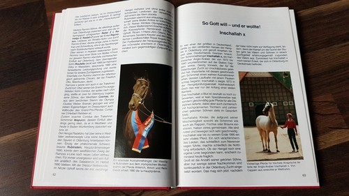 Siegerpferde aus oldenburg - siegerpferde,