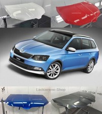 MOTORHAUBE LACKIERT IN