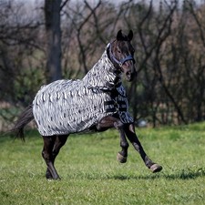 BUSSE 155 Zebra