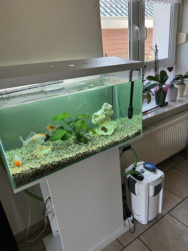 Aquarium komplett 120liter - aquarium,