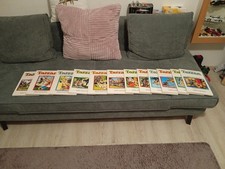 12 Comics Hardcoverbücher, Tarzan Sonntagsseiten von Hethke von 1968 - 1979 