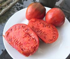 Brad´s Black Heart schwarze Tomate Tomatensamen 10 Samen aus eigenem Anbau