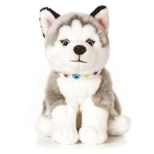 Husky Welpe sitzend HUND