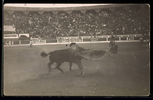 Torero der stierkampfarena - in,