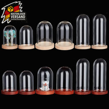 Glasglocken Set mit Holzsockel