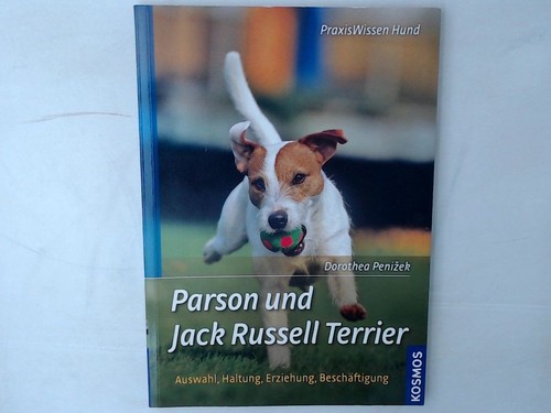Parson und jack russell - parson,