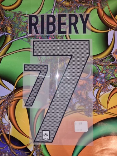 Nat france ribery player - nat,