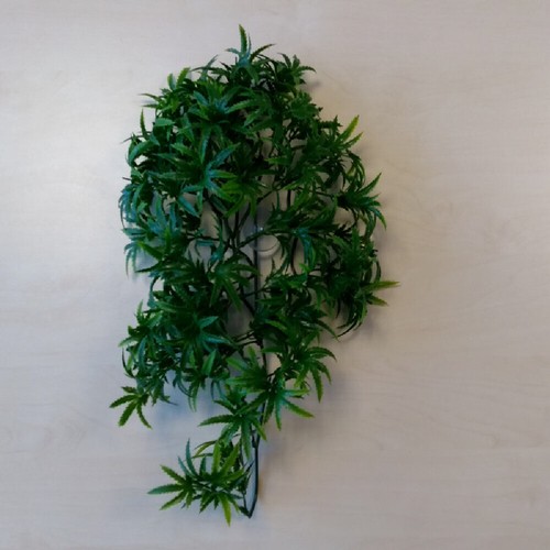 Kunstpflanze cannabis medium - cannabis,