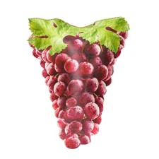 Traubenkostüm, Halloween