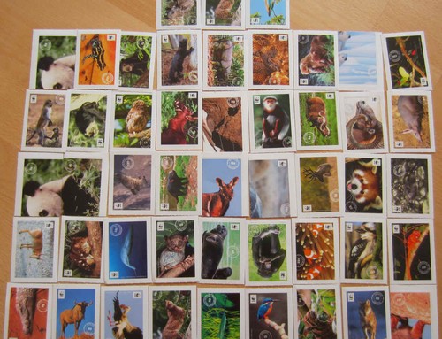 Sticker aufkleber wwf - aufkleber,