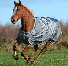 Bucas 145 Iron Gate Outdoordecke 150g Smartex Turnout Weidedecke