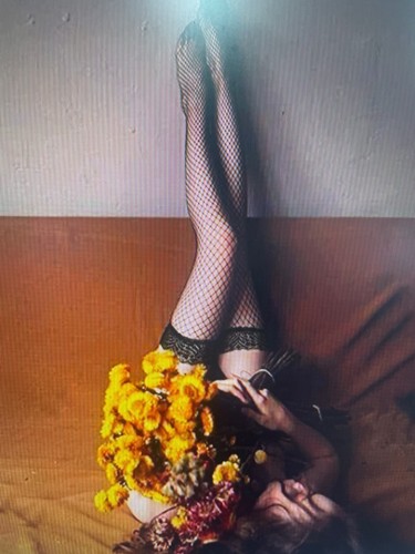 New sexy lace - sexy, hold